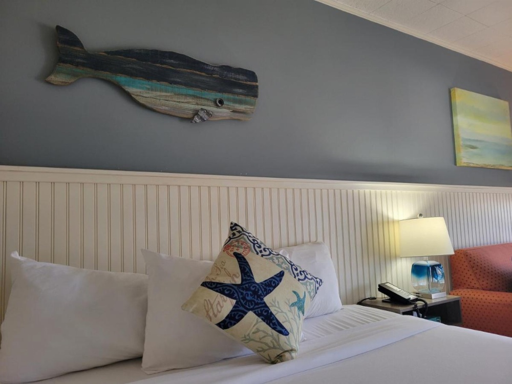 Room Image 3